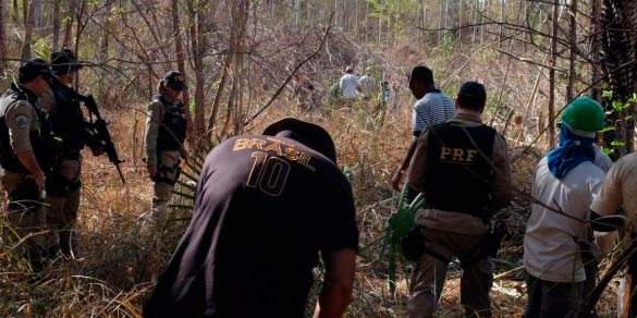 Combate ao trabalho escravo fica sob ameaça por falta de estrutura